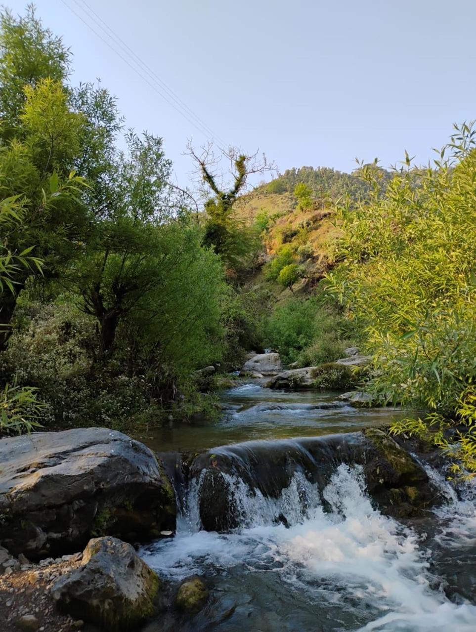 Rivulet Resort & Camping Мусори Екстериор снимка